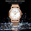 Relok OPK 8115 relojes de mujer Reloj de pulsera original de moda Simple para mujer correa de malla de acero inoxidable Reloj luminoso resistente al agua (5) Reloj Opk De Pulsera Para Mujer Color Oro Rosa Modelo 8115