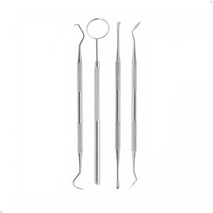 Kit dental 4 piezs acero Inoxidable (1) Kit Herramientas Cuidado Dental Higiene Limpieza Dental 4 Piezas